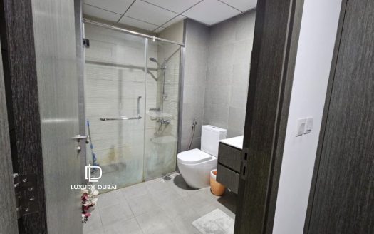 1 Bedroom Apartment For Rent In Belle Rose Dubai Science Park, Al Barsha South